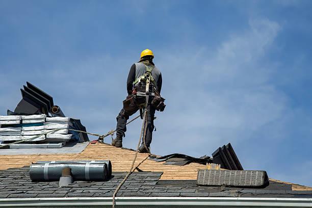 Professional Roof Replacement technician working in Maben, WV